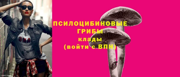 Альфа ПВП Алексин