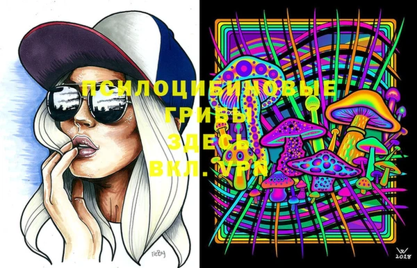 apvp Алексеевка