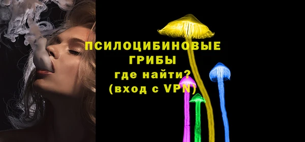 Альфа ПВП Алексин