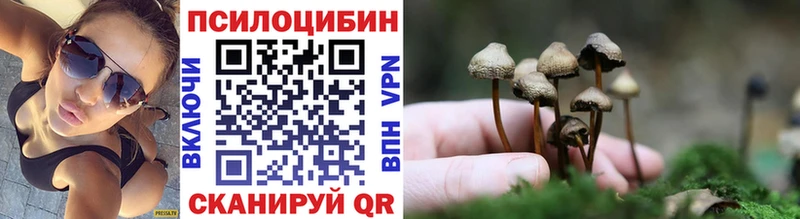 Галлюциногенные грибы Magic Shrooms кракен ССЫЛКА Верхотурье купить сайты
